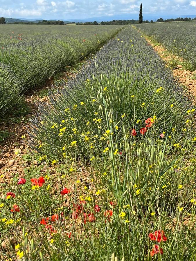 Gite Harmonie Greoux-les-Bains ภายนอก รูปภาพ