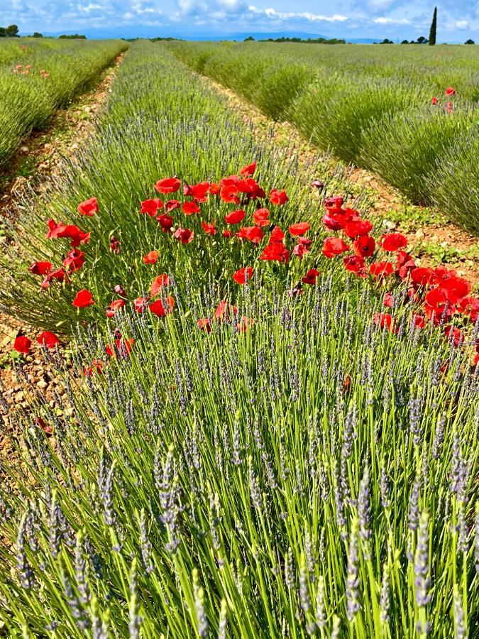 Gite Harmonie Greoux-les-Bains ภายนอก รูปภาพ