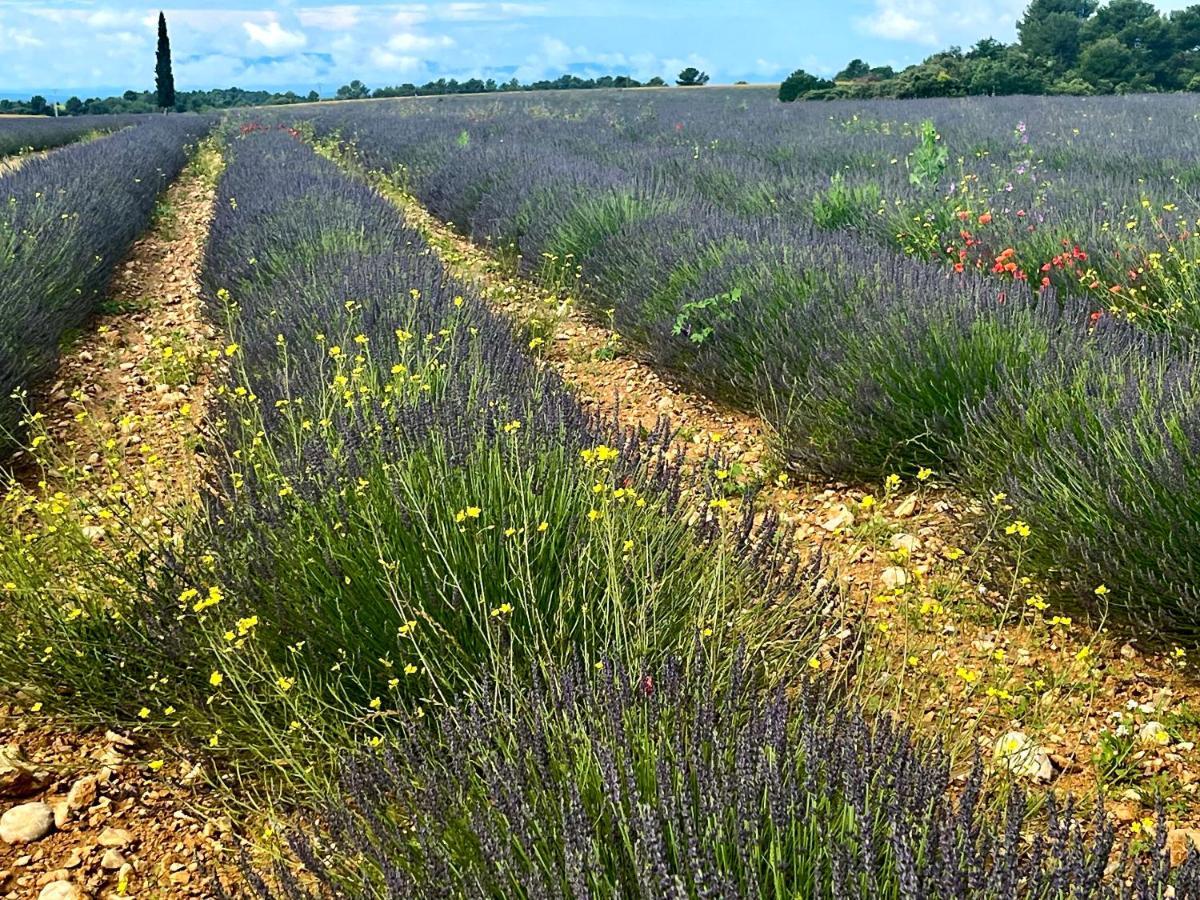 Gite Harmonie Greoux-les-Bains ภายนอก รูปภาพ