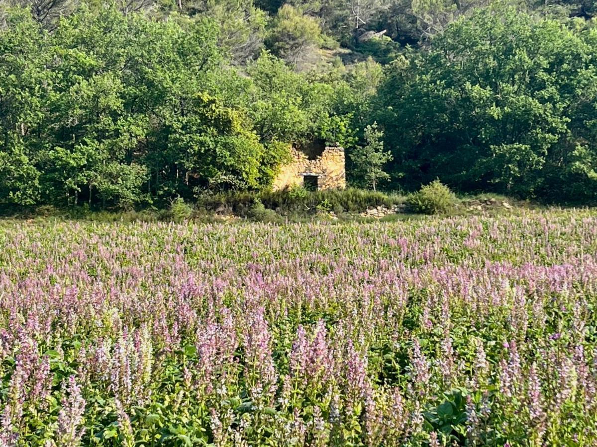 Gite Harmonie Greoux-les-Bains ภายนอก รูปภาพ