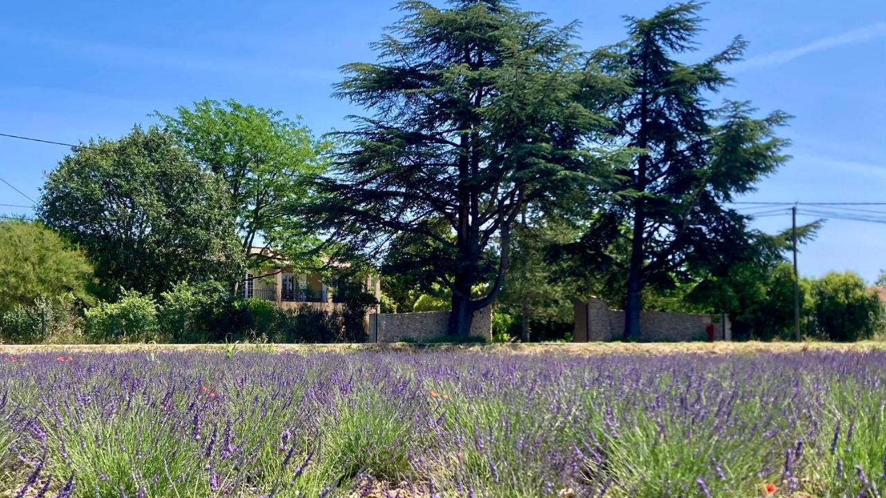 Gite Harmonie Greoux-les-Bains ภายนอก รูปภาพ