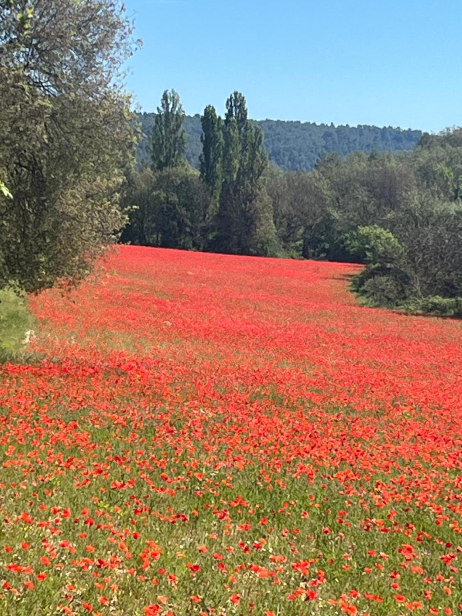 Gite Harmonie Greoux-les-Bains ภายนอก รูปภาพ
